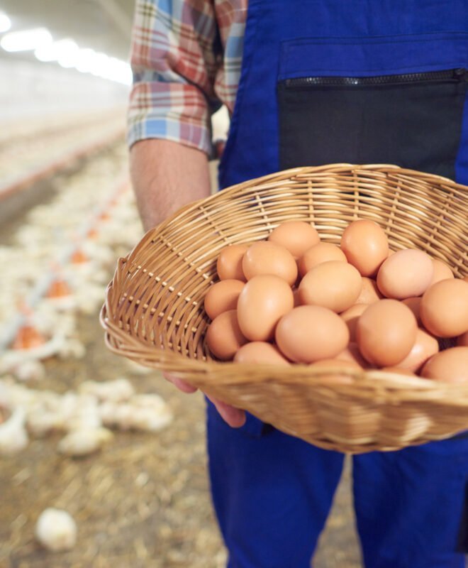 Jeune éleveur relevant ses chiffres de production à la ferme