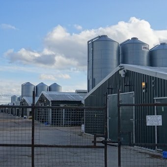 Équipements avicoles